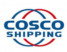 廣州出口國際快遞-新年第一個(gè)交易日，中遠(yuǎn)海運(yùn)系的股票…