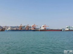 海運報價-強化綠色通道制度 確保水上物資運輸“三不斷”