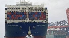 紐約國際快遞-運(yùn)輸需求陡降，集裝箱航運(yùn)公司密集抽停航班（附圖）