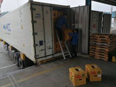 東南亞空運蛇口港，進口水果第一季度箱量增長46%——兩步申報，船邊直提，最