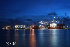 Drewry預計：2020年全球港口集裝箱吞吐量將下降8%